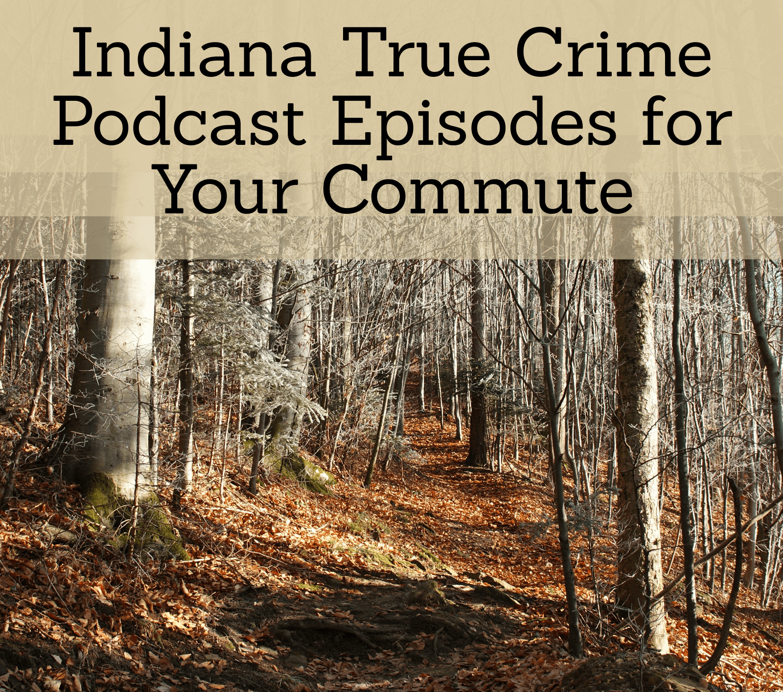 Indiana True Crime Podcast Episodes For Your Commute